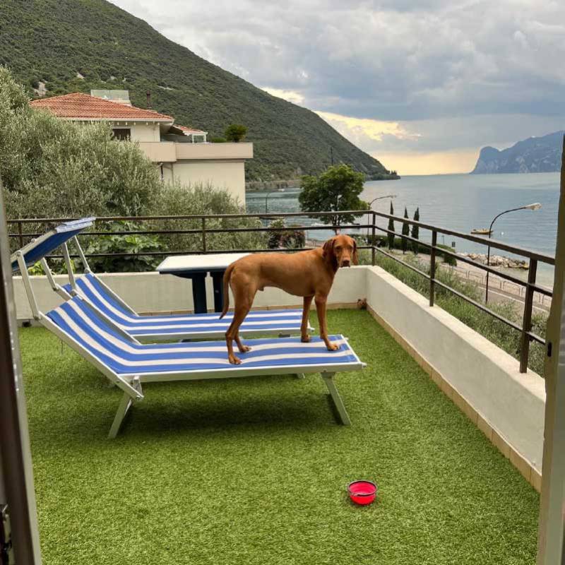 HotelParadiso-PetFriendly9